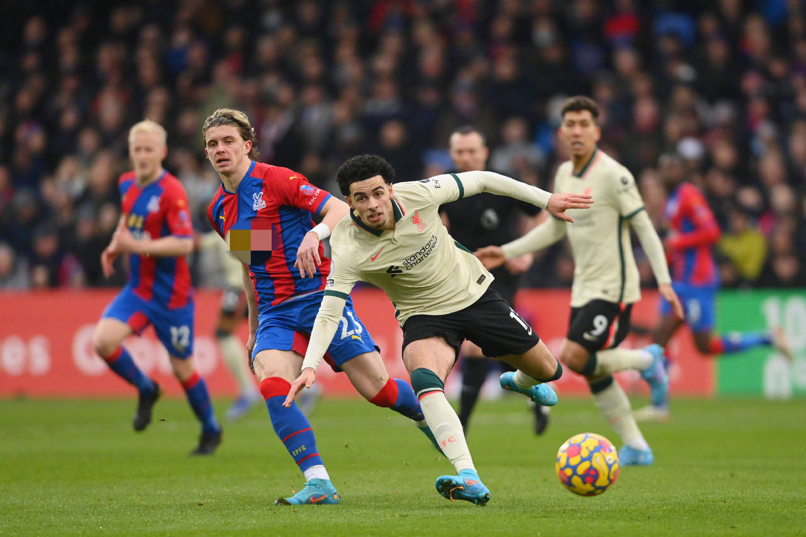 到他们在进 到他们在进