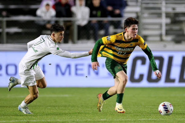 马决心不断 马决心不断