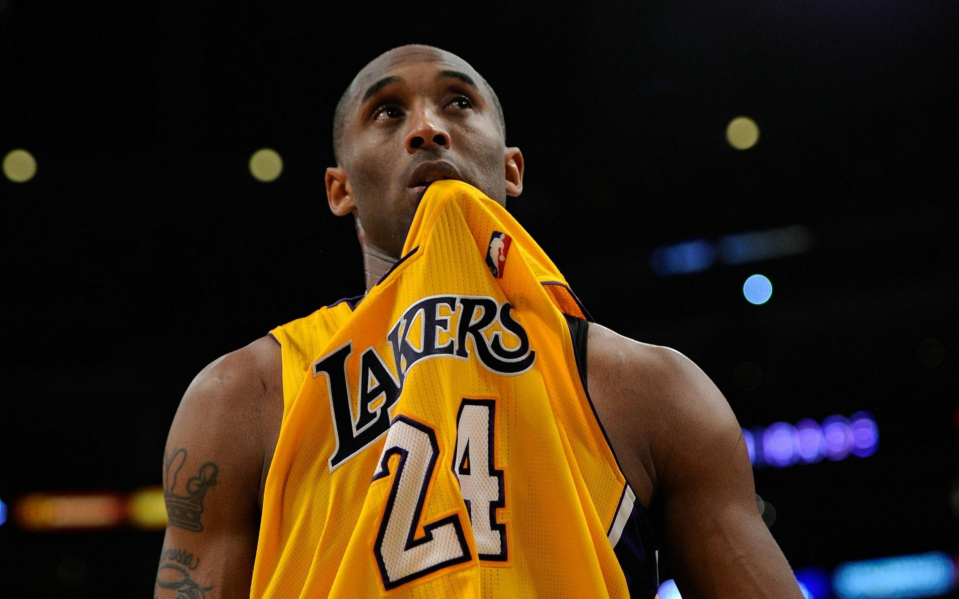 塞鸟为何能 塞鸟为何能